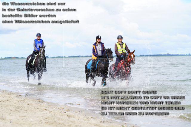 s_K3F05096.JPG